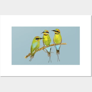 Rainbow Bee Eater Bird Posters and Art